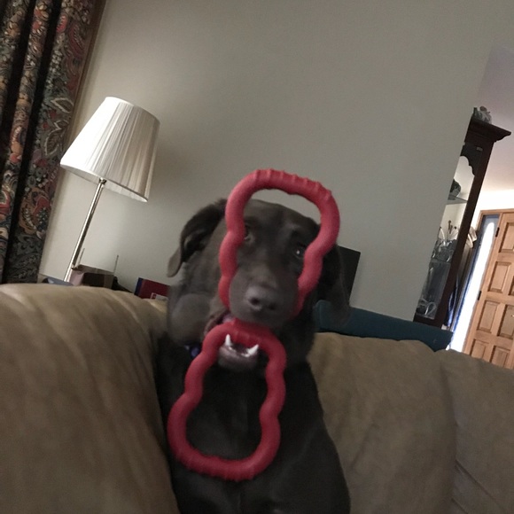 leslietmincey
